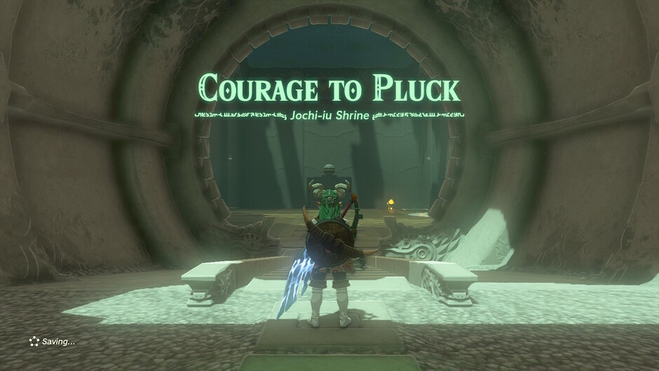 Jochi-iu: Courage to Pluck in The Legend of Zelda: Tears of the Kingdom