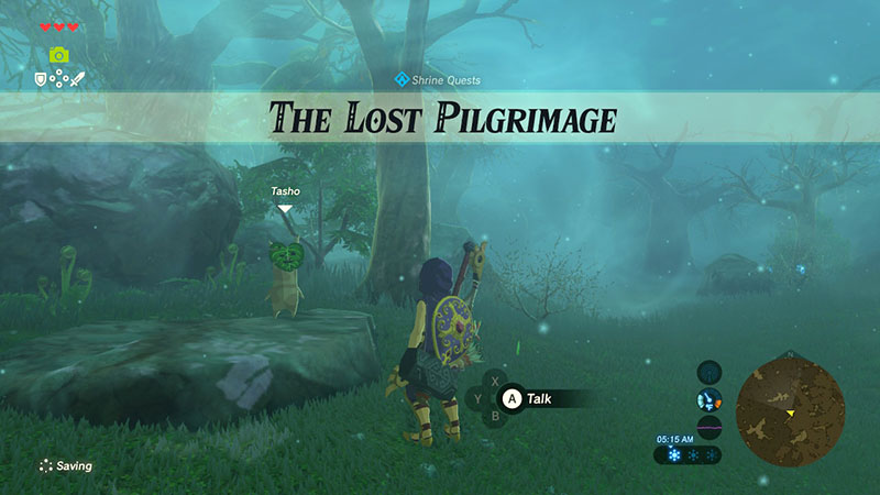 The Lost Pilgrimage