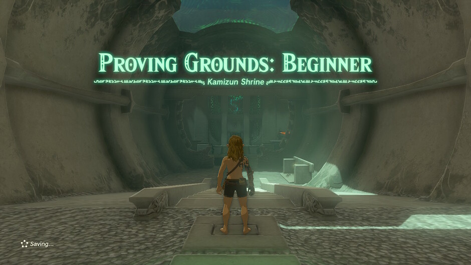 Kamizun: Proving Grounds: Beginner in The Legend of Zelda: Tears of the Kingdom