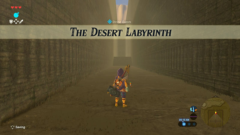 The Desert Labyrinth