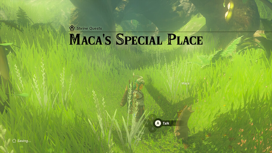 Maca's Special Place