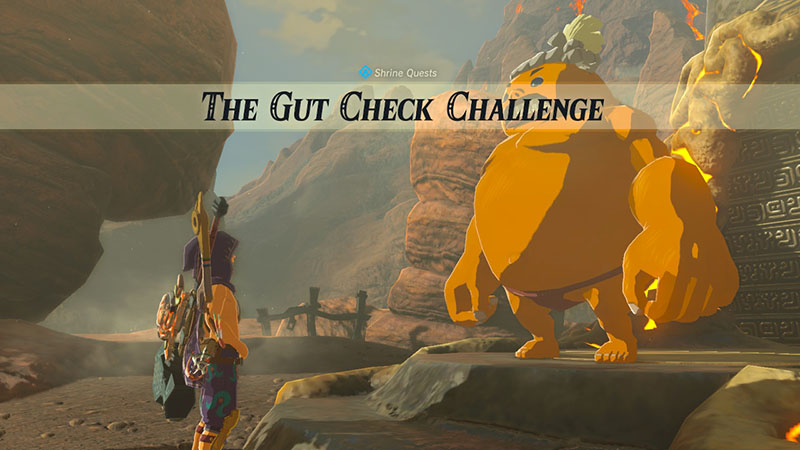 The Gut Check Challenge